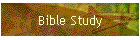 Bible Study