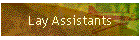 Lay Assistants
