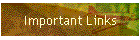 Important Links